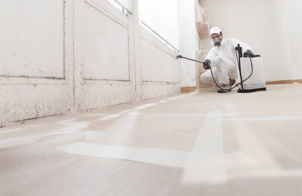 Trusted Mold Removal service in Falls Church, VA - WQB Mold Removal